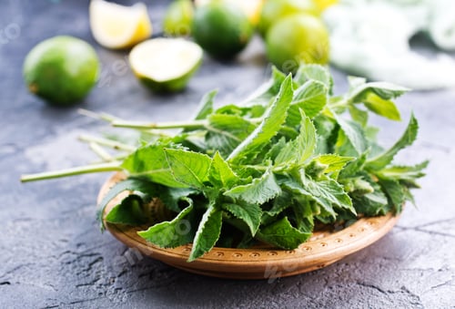 Preview: ingredients for mojito
