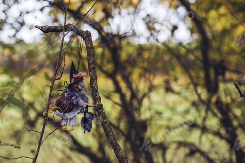 Preview: witch figurine on a broomstick on a branch in the forest