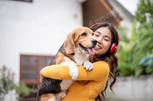 Preview: Asian attractive young woman play with her beagle dog outdoors at home.