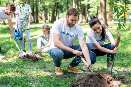 Preview: young volunteers planting new trees in park