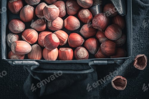 Preview: Fresh hazelnuts in a rustic metal box