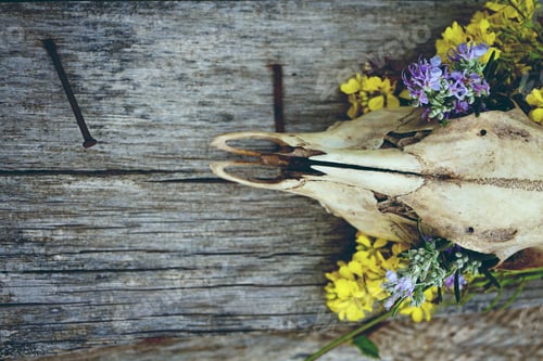 Preview: Animal skull decor with flowers