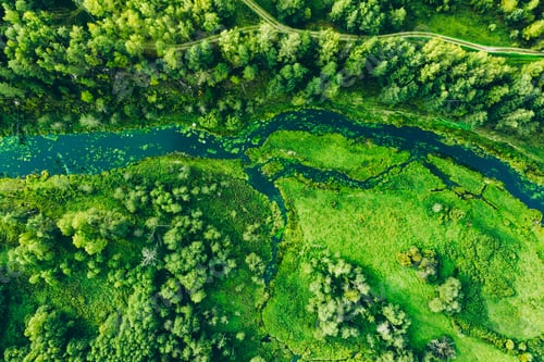 Preview: Aerial View of Lush Green Landscape with Meandering River and Scenic Forest Surroundings