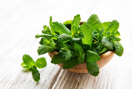 Preview: Fresh mint
