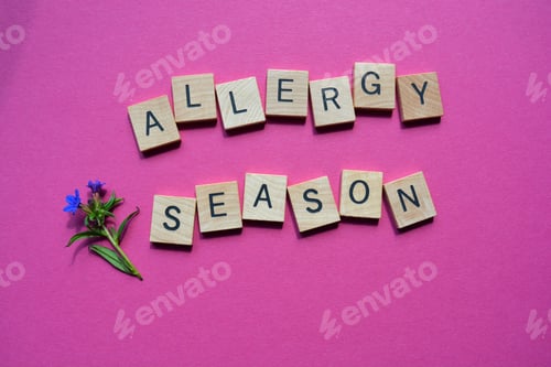 Preview: Allergy Season, words in 3D wooden alphabet letters isolated on bright pink background