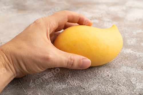 Preview: Orange mango with hand on concrete, Side view, copy space