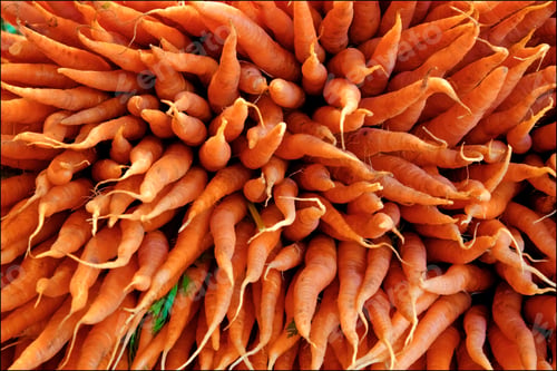 Preview: Carrots