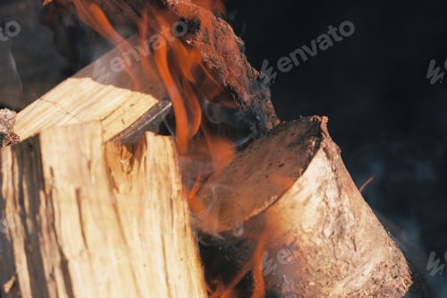 Preview: Bonfire