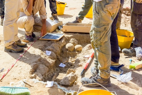Preview: Excavation of an ancient grave. Skulls and bones inside an ancient burial place.