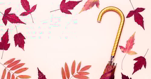 Preview: female fashion autumn golden umbrella and dry leaves on pastel color background