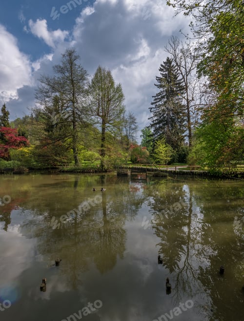 Preview: Lake in the park