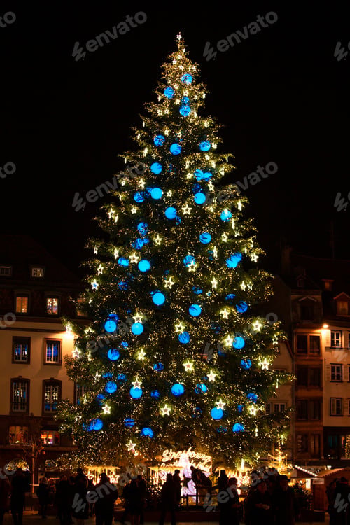 Preview: STRASBOURG, FRANCE - December 2016 - Christmas tree in Place Kleber