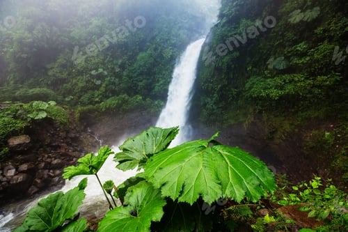 Preview: Waterfall in Costa Rica