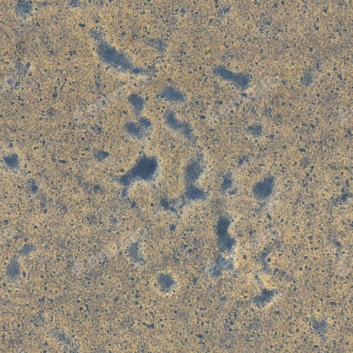 Preview: Black rock covered with lichens