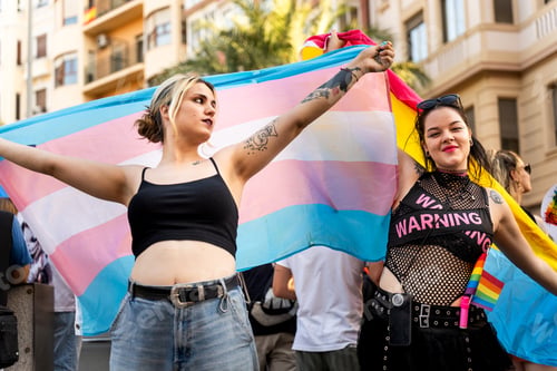 Preview: Two proud transgender activists holding transgender flag at pride parade