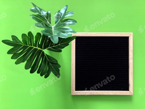 Preview: Green background