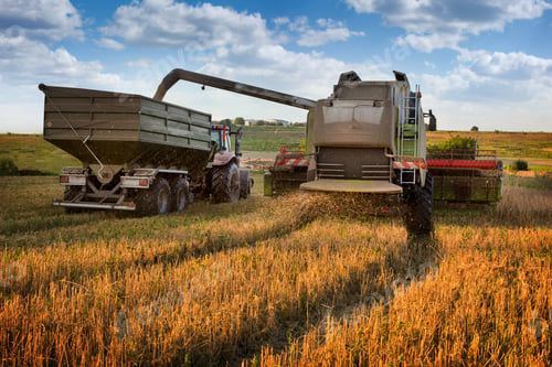 Preview: the process of loading the trailer from the combine with harvested grain in the field
