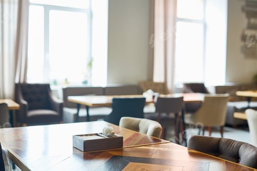 Preview: Luxurious cafe