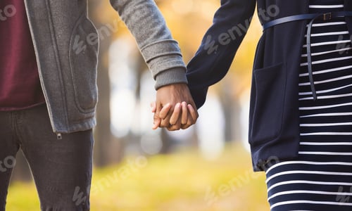 Preview: African-american couple in love holding hands in autumn park