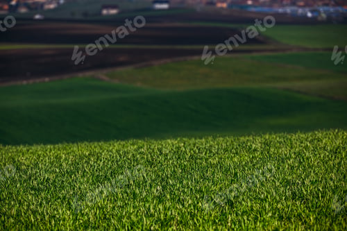 Preview: Rolling hills in spring
