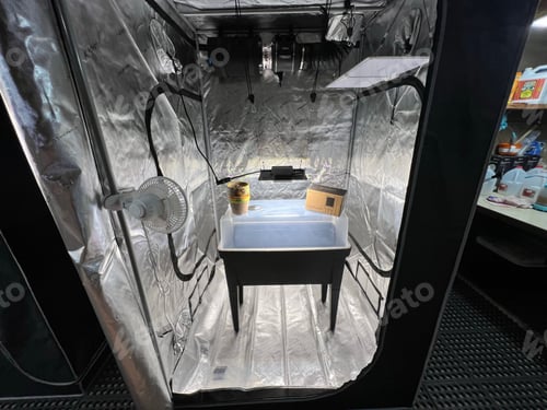 Preview: Closeup shot of a medical laboratory with foils on the walls and equipments for examining cannabis