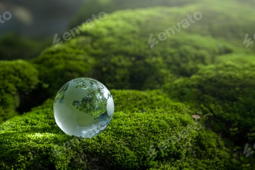 Preview: Environmental concept - Crystal Earth on forest moss with fern and sunlight - environment