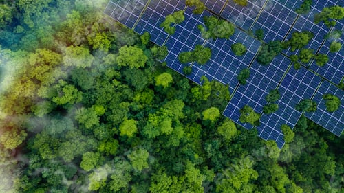 Preview: Solar panels installed in the green forest, clean alternative energy concept, sustainable energy