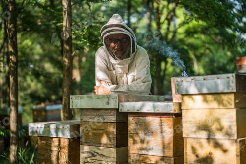Preview: Beehives and beekeeper