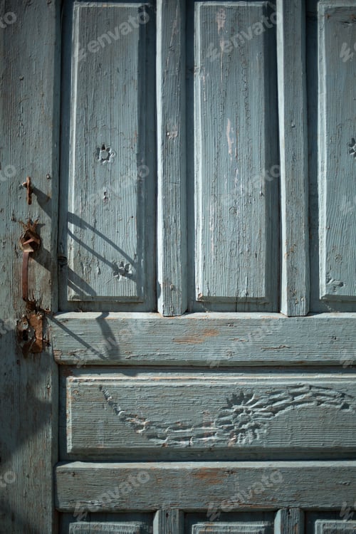 Preview: Very nice old vintage front door
