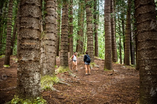 Preview: Hikers on Sleeping Giant Trail, Kauai, Hawaii