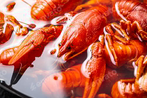 Preview: Crayfish are boiled in a pot in water.