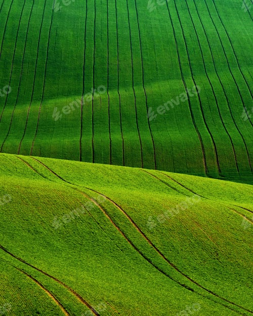 Preview: Detail scenery at South Moravian field during spring, Czech republic.