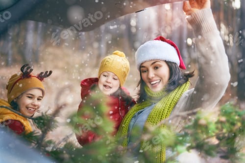 Preview: Family Loading Christmas Tree into Car in Winter