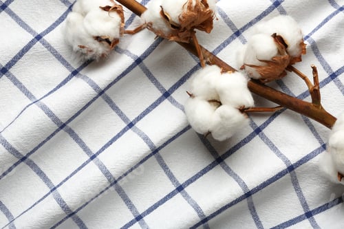 Preview: Branch with cotton flowers on fabric, view from above. Space for text
