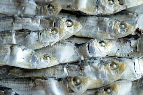 Preview: A cluster of dried sardines.