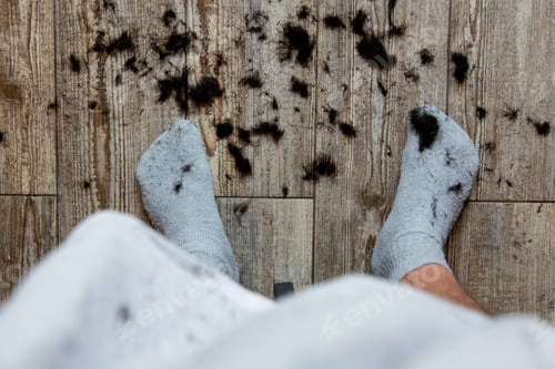 Preview: cut hair on the floor at home during self-isolation