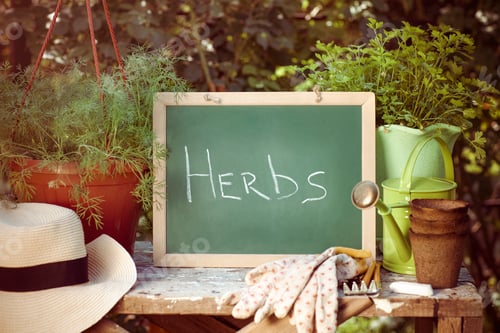 Preview: Chalkboard and inscription Herbs in beautiful garden