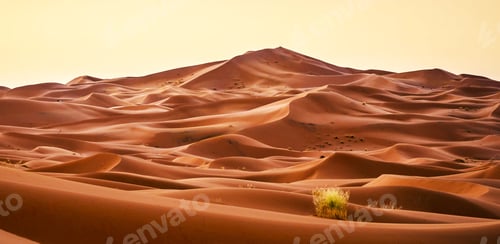 Preview: A Scenic Erg Chebbi, Morocco pictures