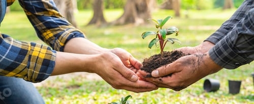 Preview: two young men are planting a tree to preserve the environment, plant tree concept to reduce global w