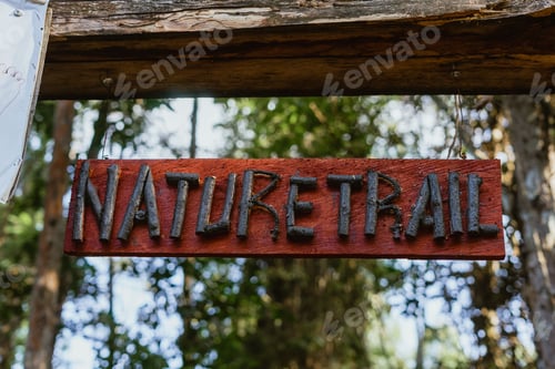Preview: a red sign that reads nature trail in the wilderness below trees