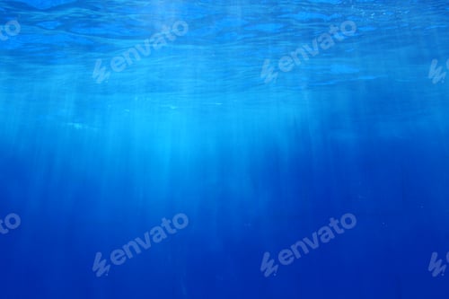 Preview: star light to the water