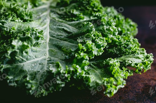 Preview: Fresh curly kale salad over dark rustic background.