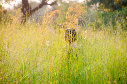 Preview: Blurred image of young woman in the meadow