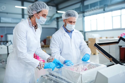 Preview: Confectionery factory workers wrapping box into packaging film