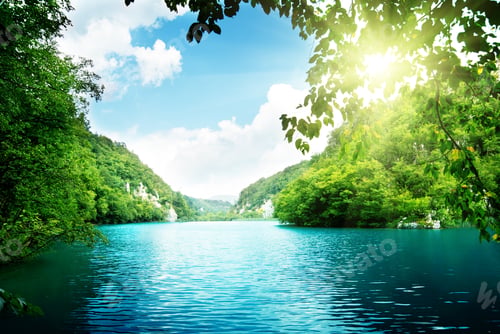 Vista previa: Lake In Deep Forest