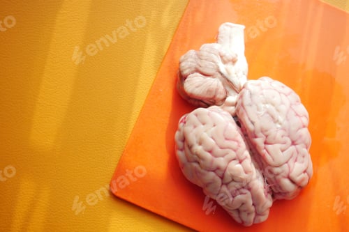 Preview: mutton brain on a chopping board