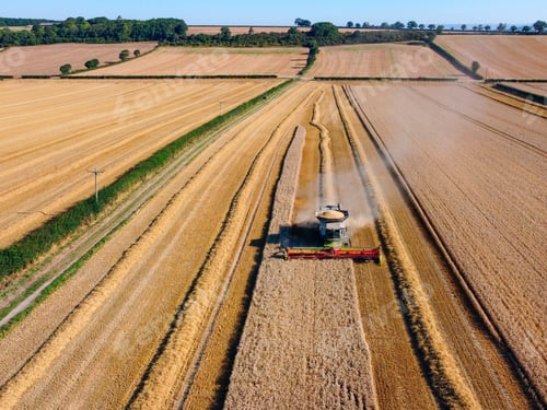 Preview: Aerial View - Harvest Time
