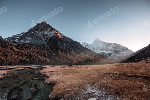 Preview: Holy mountain Yangmaiyong with horse on meadow in the sunset at Yading nature reserve