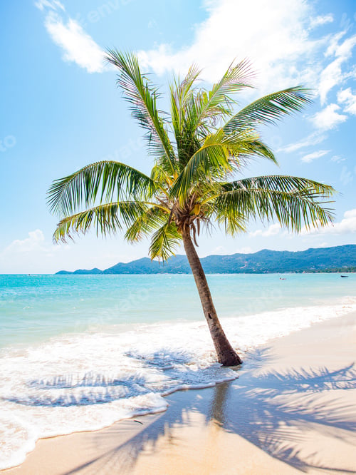 Preview: Landscape of Koh Samui island