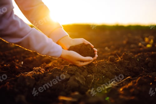Preview: Hand of expert farmer collect soil. Farmer is checking soil quality before sowing. Agriculture.